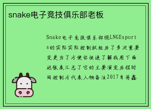 snake电子竞技俱乐部老板